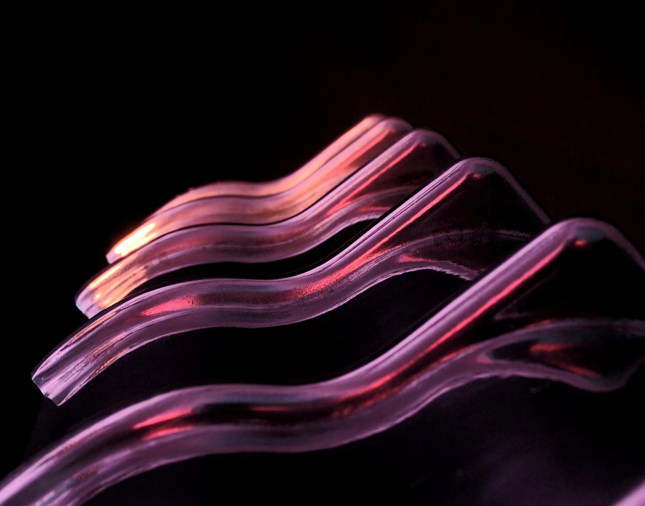 Campañas localizadas en CDMX